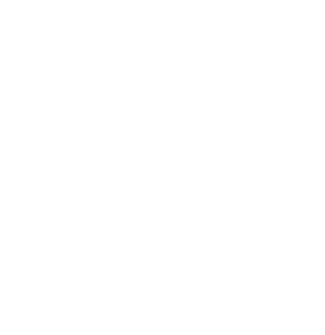 Micro Grid Flow